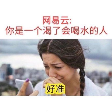 网易云人格主导色表情包 ​-壁次元