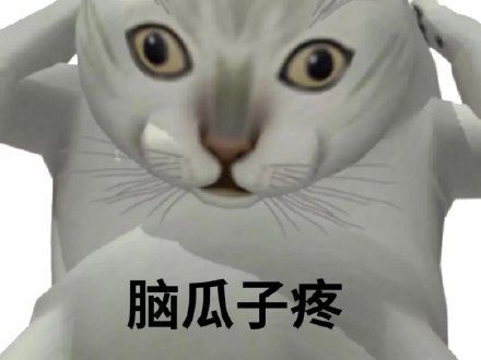 憨憨猫Mur猫表情包系列-壁次元