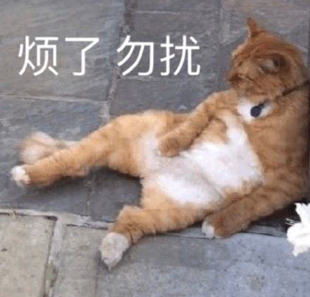 全是猫咪表情包-萌图百科