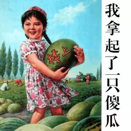 黄瓜的味道怪怪的-萌图百科