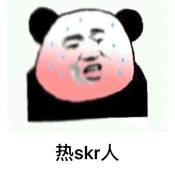 又是skrskr的一天，skr就完事了-壁次元