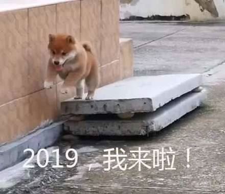 2019，我来啦-萌图百科