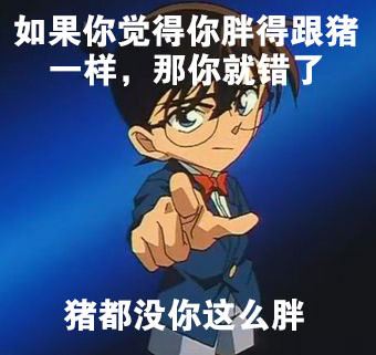 真相只有一个！意不意外！惊不惊喜！-壁次元