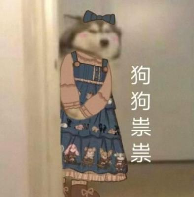 狗狗祟祟换装表情包-萌图百科