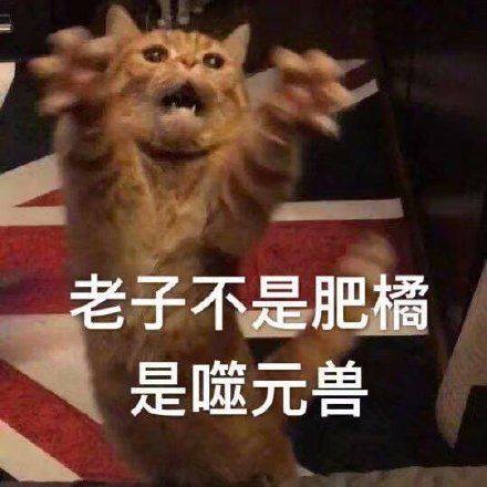 《惊奇队长》 噬元兽橘猫表情包-壁次元