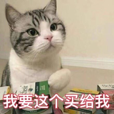 一组萌萌的猫咪表情包，一起吸猫-壁次元