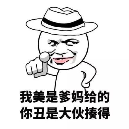 撤回有什么用（金馆长表情包）-壁次元