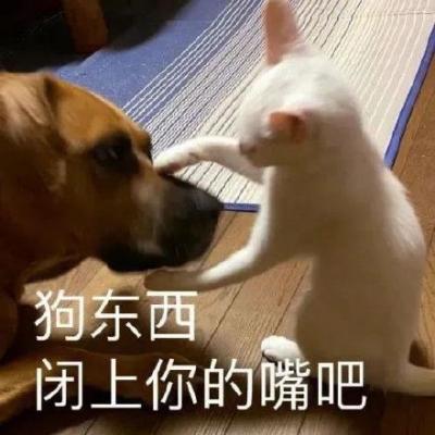 狗勾表情包-萌图百科