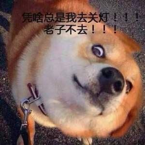 谁去关个灯啊[doge]-萌图百科