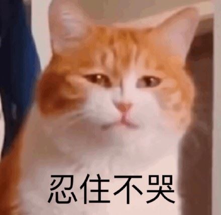 一组橘猫表情包-萌图百科