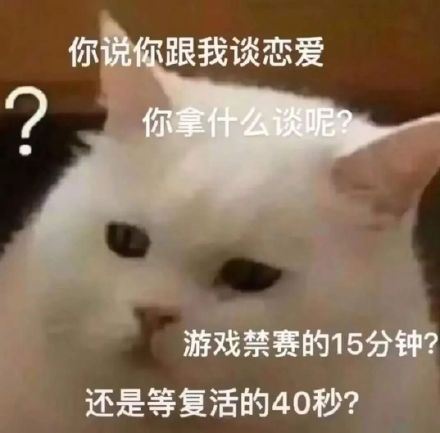 猫咪表情包 爱了  ​-萌图百科