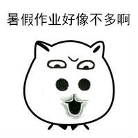 猫脸配字表情-壁次元