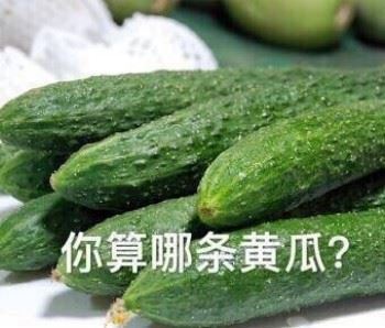 好好看看，你算个啥？-壁次元