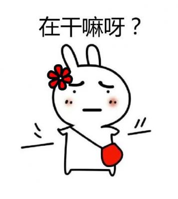 恶搞兔逗逼表情-萌图百科