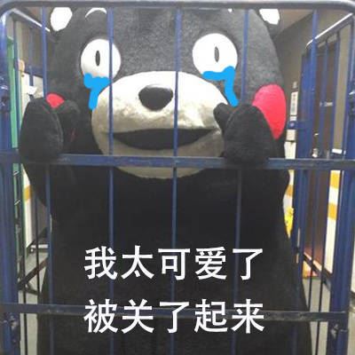 我熊本熊被关了起来-壁次元