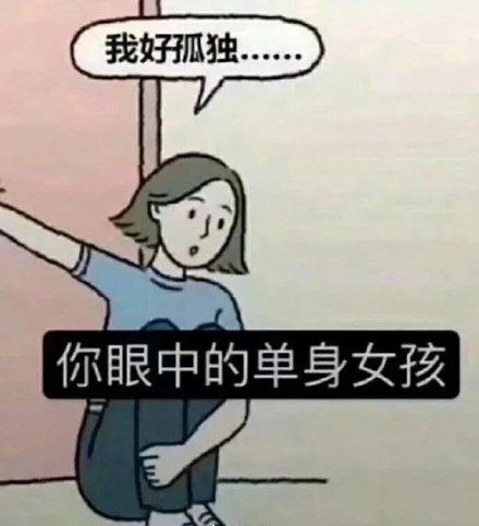 你眼中的单身女孩 VS 实际上的单身女孩 ​-壁次元