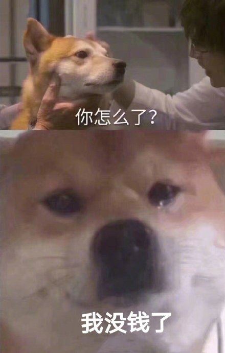 「你怎么了？柴犬流泪」系列-壁次元