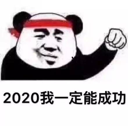 熊猫头：2020我一定能成功-萌图百科