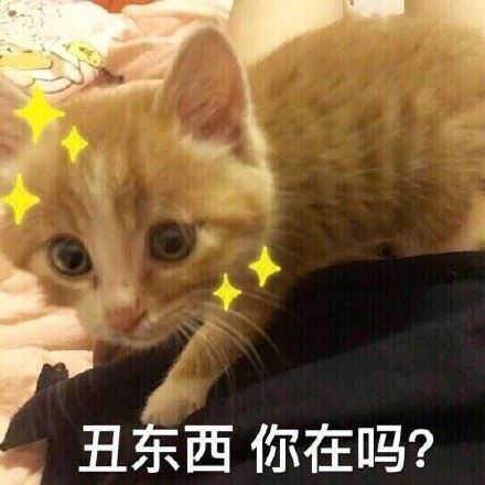 一波猫咪表情包-壁次元