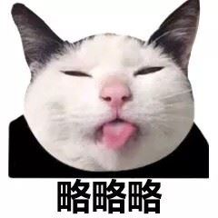 一组可爱的猫咪头表情包-壁次元