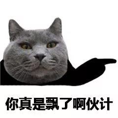 猫脸熊猫人表情包-壁次元