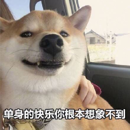 单身狗 doge 表情包系列-萌图百科