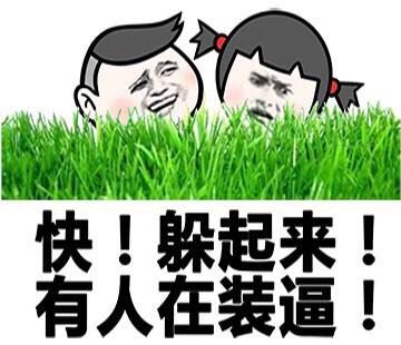 快！躲起来！有人在装逼！-壁次元