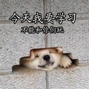 做个爱学习的 doge-萌图百科