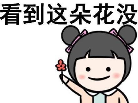 我有很多小花花，你要吗？-壁次元