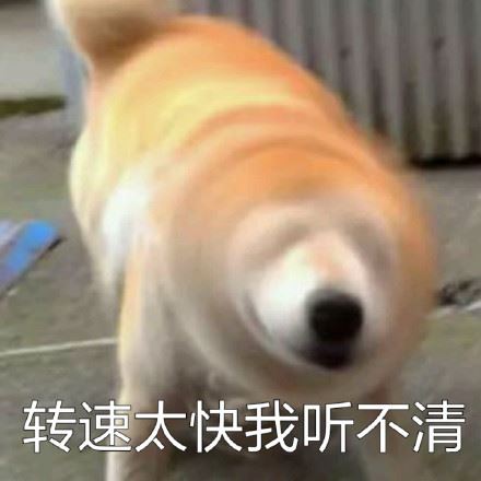 柴犬doge真是一个表情包巨头-壁次元