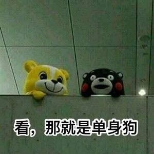 一组柴犬doge微信表情-壁次元