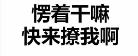 微信纯文字表情包-萌图百科