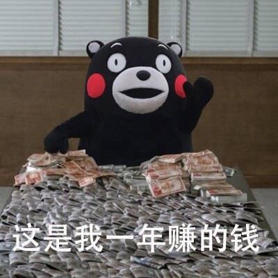 这是我一年赚的钱-壁次元