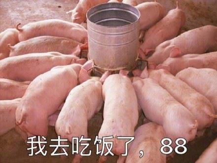 萌猪表情系列-壁次元