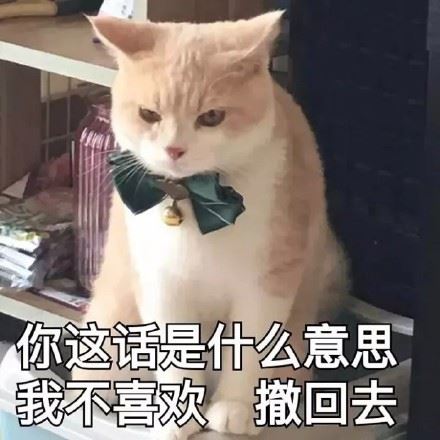 猫咪表情包第五弹-萌图百科