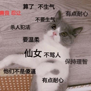 一组猫咪表情包-萌图百科