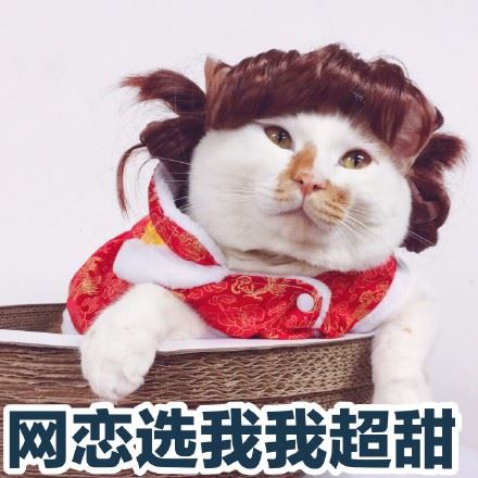 一组可爱猫咪表情包-萌图百科