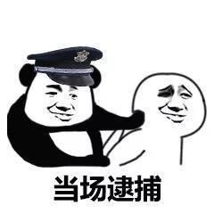 当场逮捕表情包系列-壁次元