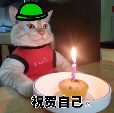 猫咪独自过生日系列-萌图百科