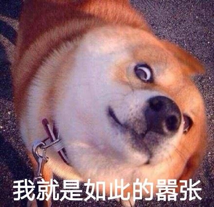 瞪眼 doge 表情包-萌图百科