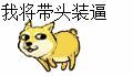 我将带头装逼（doge 表情）-壁次元