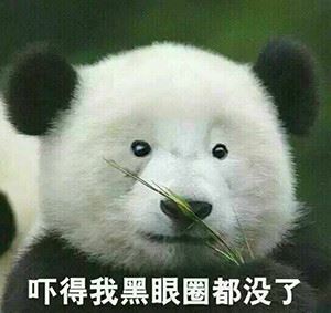 恶搞熊猫系列-壁次元