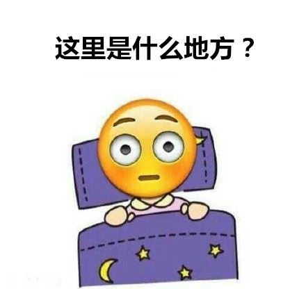 这是什么地方？我是谁？-萌图百科