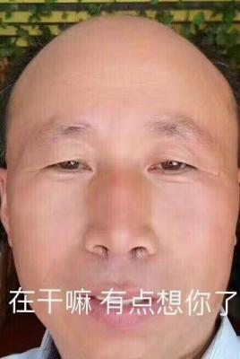 热门斗图表情包精选-2017/10/05-萌图百科