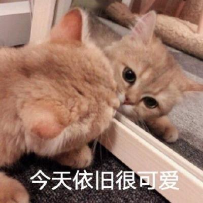 可爱萌宠表情包系列-萌图百科