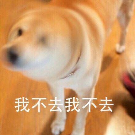 doge的内心独白-壁次元