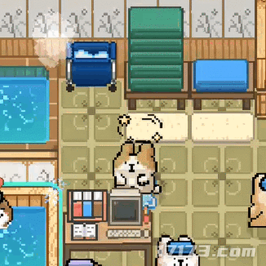 图片5.gif