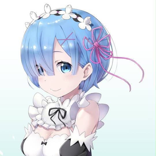 Re:从零开始的异世界生活, 雷姆, 雷姆 (Re:Zero), CLIPSTUDIOPAINT, リゼロ5000users入り