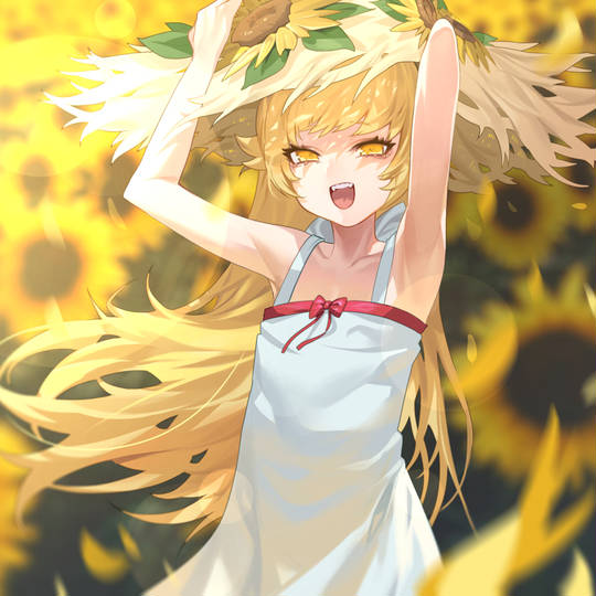 忍野忍, 姬丝秀忒·雅赛劳拉莉昂·刃下心, 傷物語, 化物语, 草帽, camisole dress, 平胸角色, 腋下, 化物語3000users入り