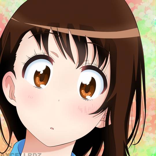 nisekoi, kosaki, 小野寺小咲, onodera, 伪恋图片